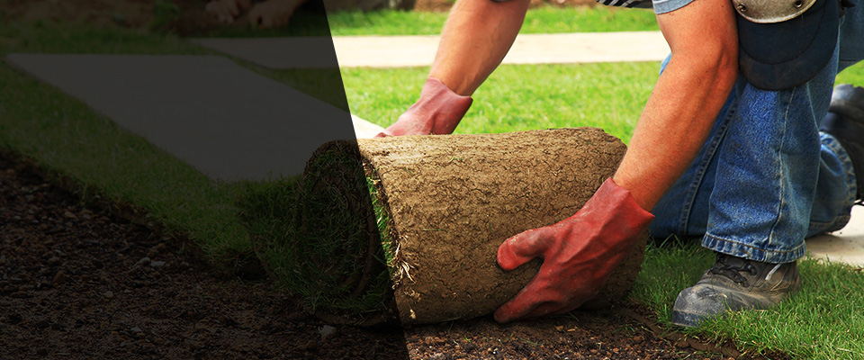 Victor Landscapers